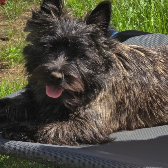 Meet your Posher, Meg - Picture 1 of 1